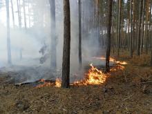 Pożary w naszych lasach