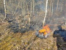 Susza skutuje zagrożeniem pożarowym lasu