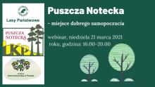 "Puszcza Notecka  -miejsce dobrego samopoczucia" webinar z okazji Międzynarodowego Dnia Lasów 2021