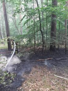 Pożar powstały po leśnym "biwaku"