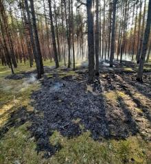 Pożar lasu w Leśnictwie Kościelec