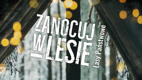 Program zanocuj w lesie w Nadleśnictwie Karwin