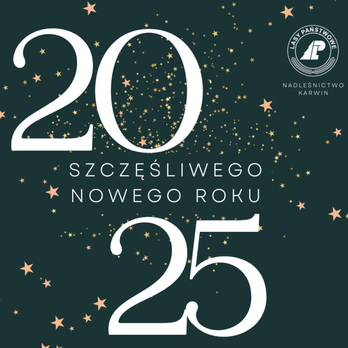 Życzenia&#x20;Noworoczne&#x2f;&#x20;źródło&#x3a;&#x20;canva&#x2e;com