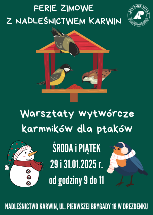 Platak&#x20;wytwórcze&#x20;warsztaty&#x20;karmników&#x20;dla&#x20;ptaków&#x20;w&#x20;Nadleśnictwie&#x20;Karwin&#x2f;&#x20;źródło&#x3a;&#x20;Canva